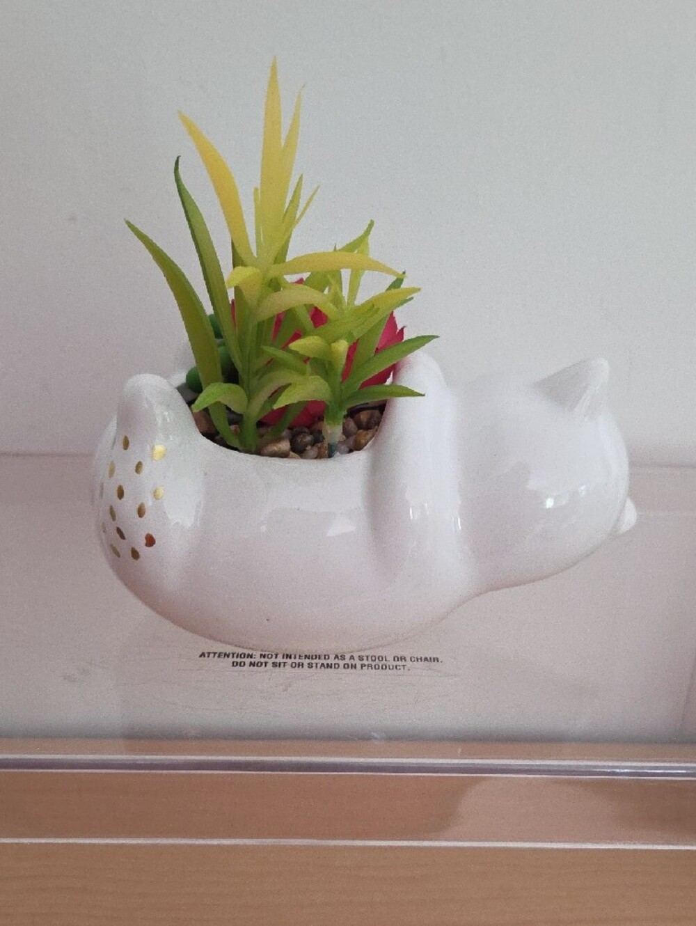 White Ceramic Cat Succulent Planter with Gold Accents - Picture 5 of 5